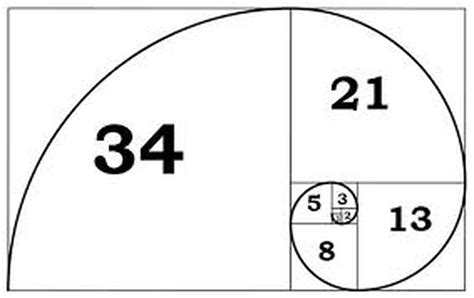 Fibonacci scale template 5%) while 21/34 = 0